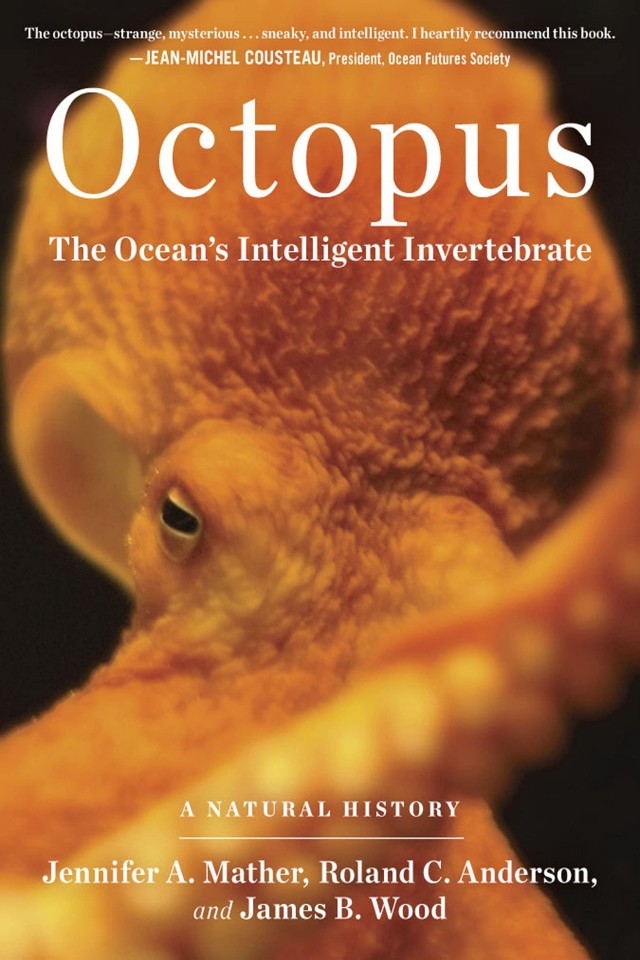 Octopus Roland C Anderson