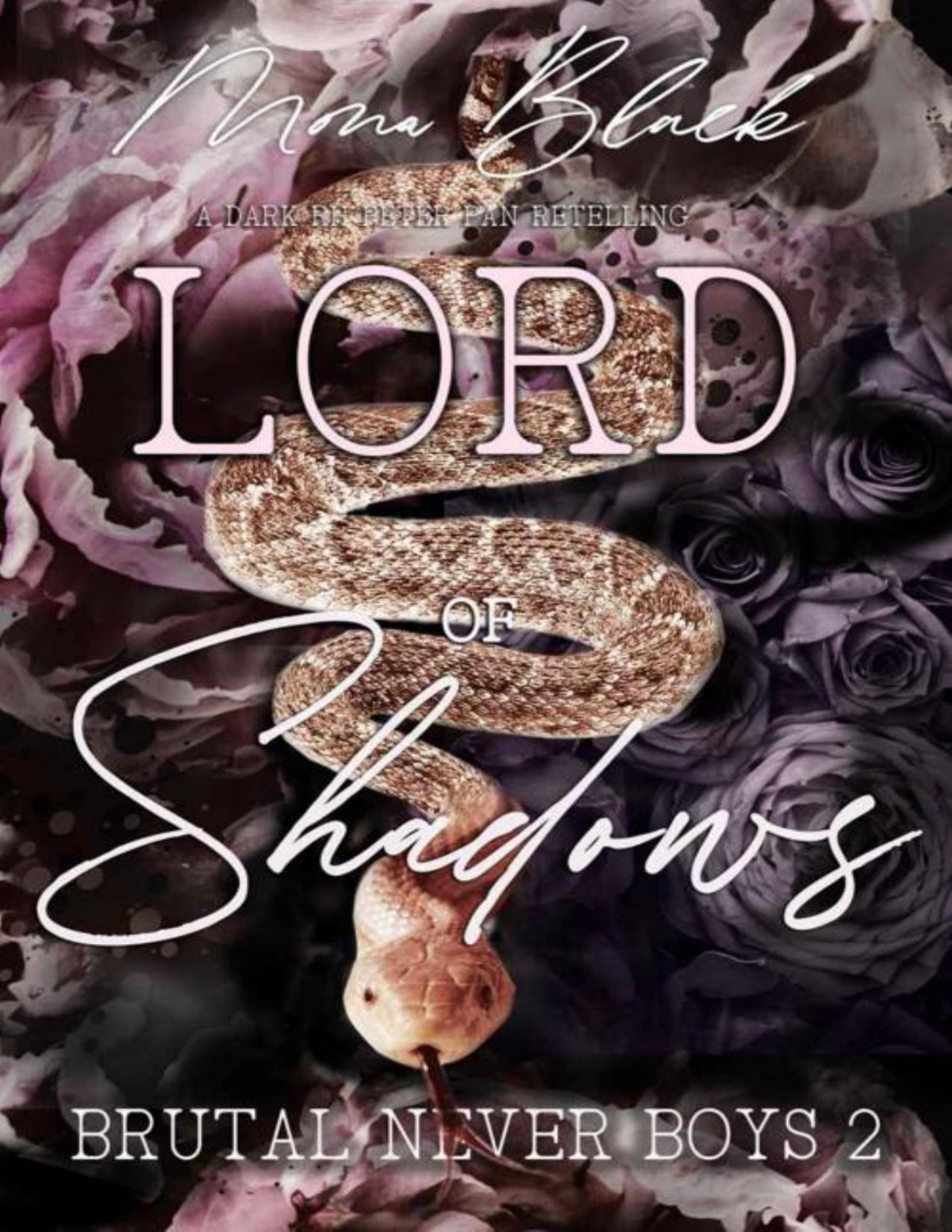 Lord Of Shadows A Dark Rh Peter Pan Retelling Brutal Never Boys Mona Black
