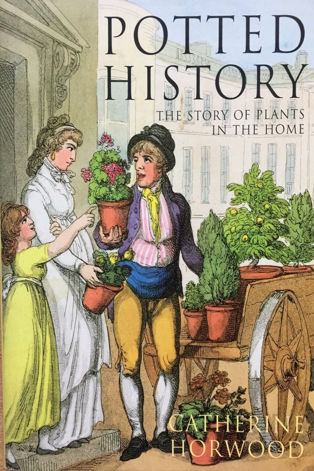 Potted History How Houseplants Took Over Our Homes Catherine Horwood
