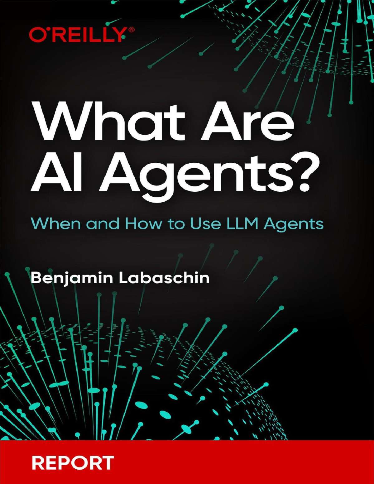 What Are Ai Agents For True Epub Benjamin Labaschin