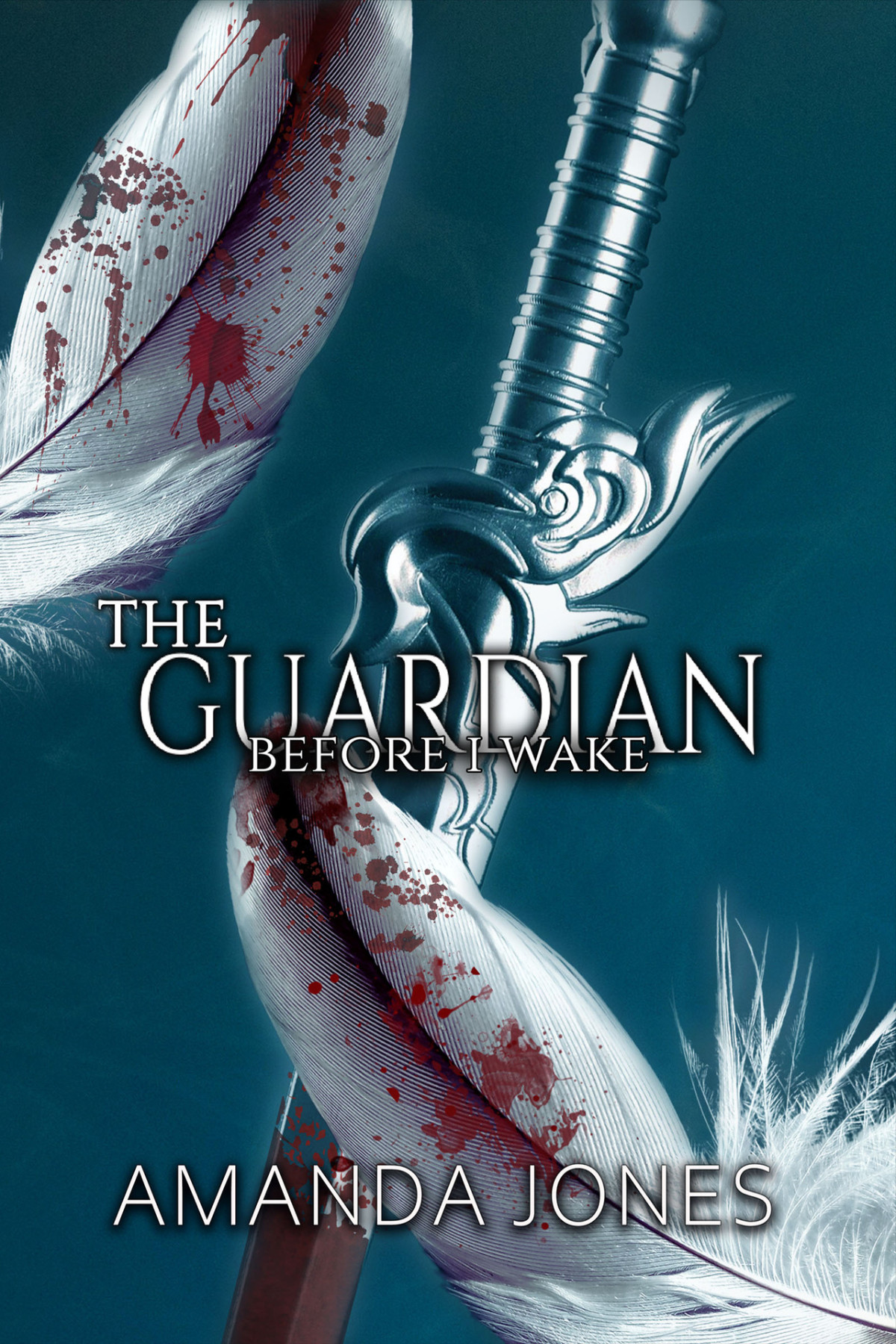 The Guardian Before I Wake The Guardian Series Book 2 Jones