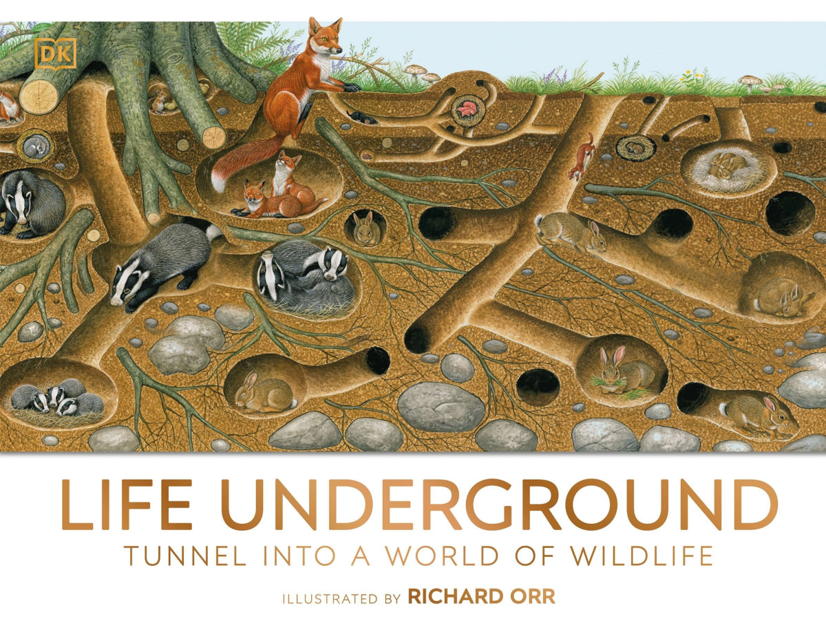 Life Underground Tunnel Into A World Of Wildlife Dorling Kindersley