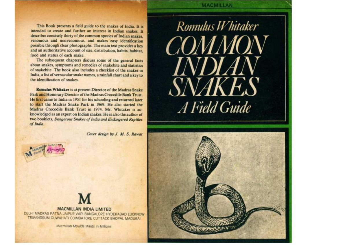 Common Indian Snakes No Administrator