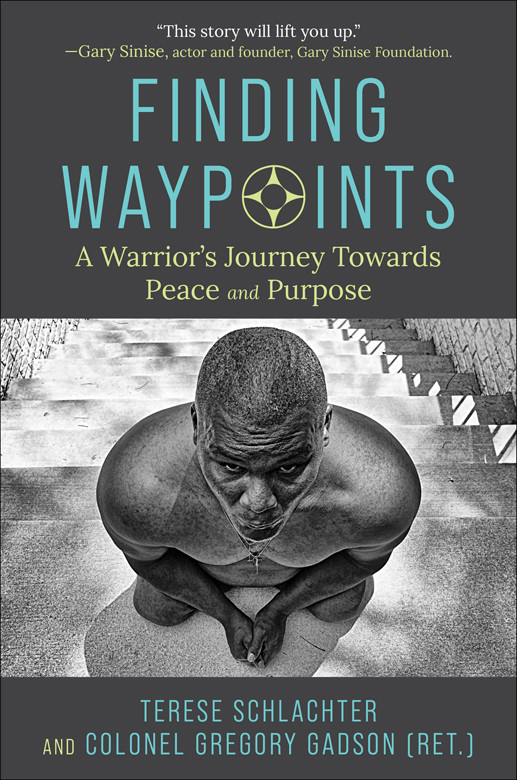 Finding Waypoints A Warriors Journey Towards Peace And Purpose Terese Schlachter