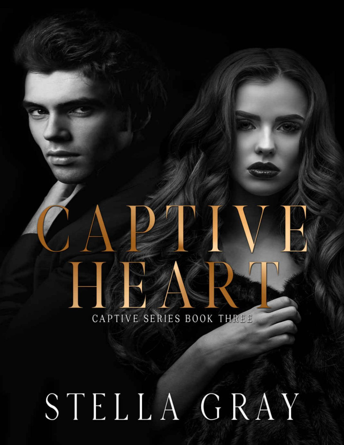 Captive Heart Armani Bellanti Brothers Book 9 Stella Gray