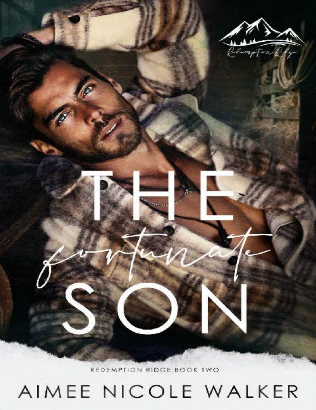 The Fortunate Son Redemption Ridge Book Two Aimee Nicole Walker