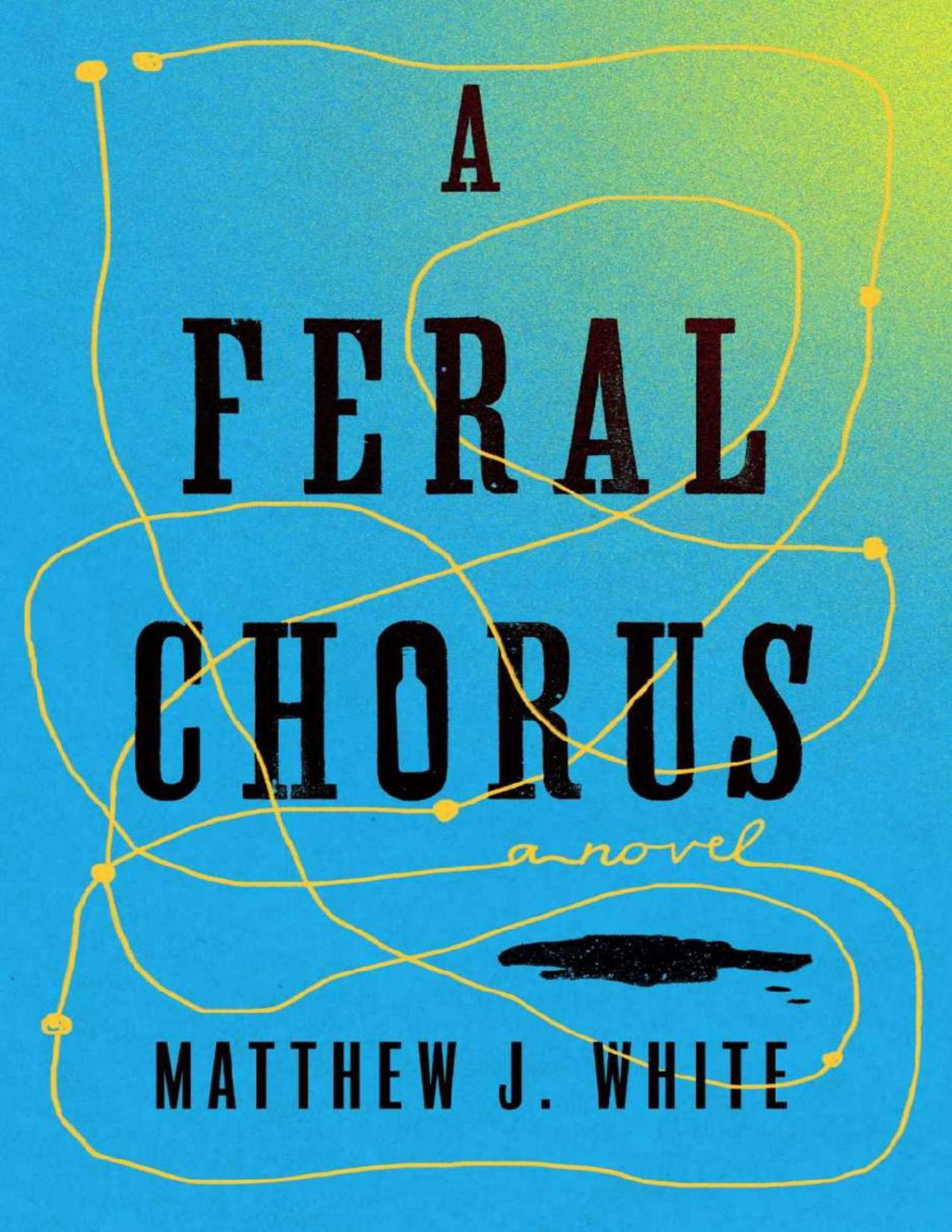 A Feral Chorus A Novel Matthew J White