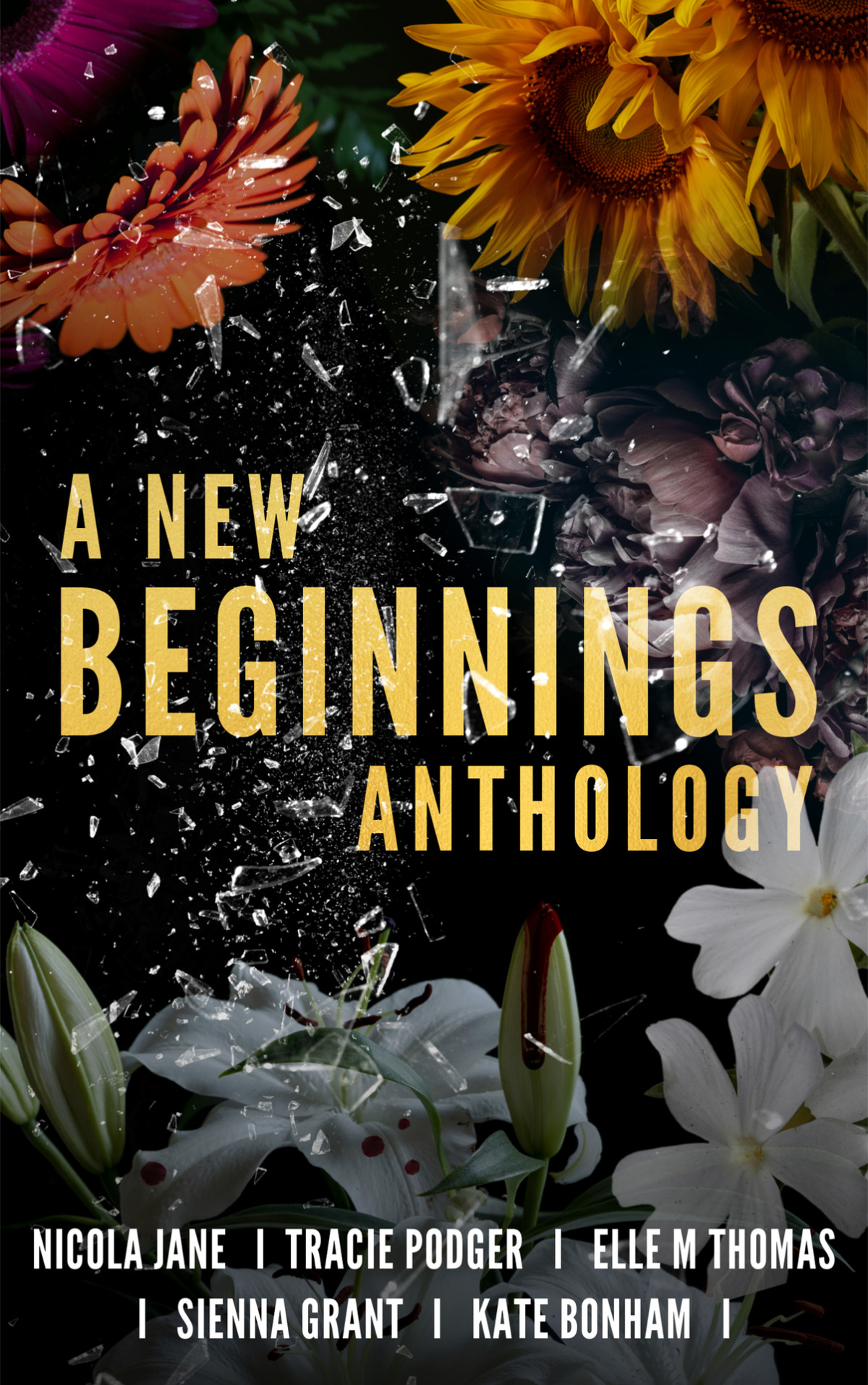 A New Beginnings Anthology Vanlanen Brittany Bonham Kate Grant