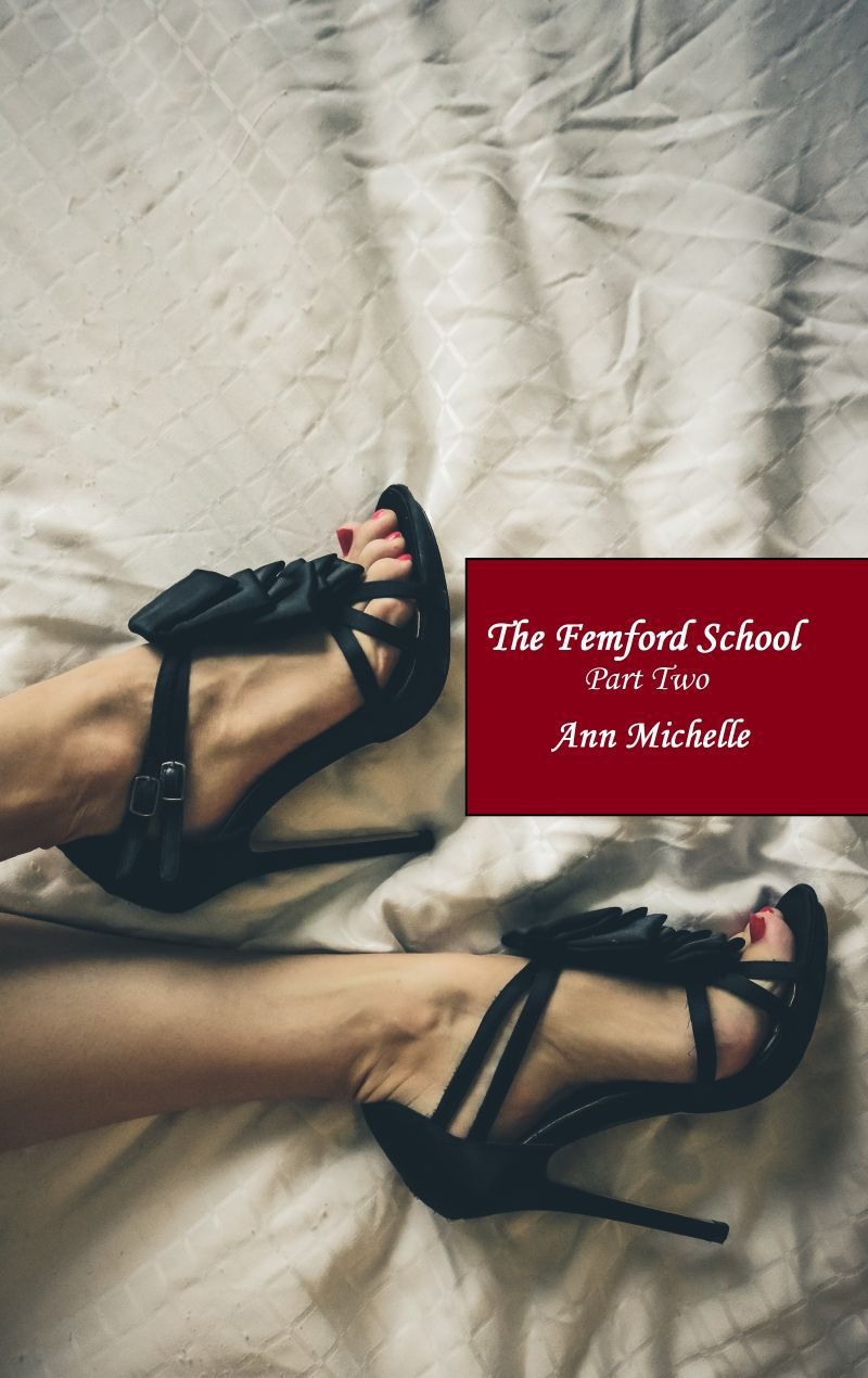 The Femford School Part Two Femford School For Girls Book 2 Michelle