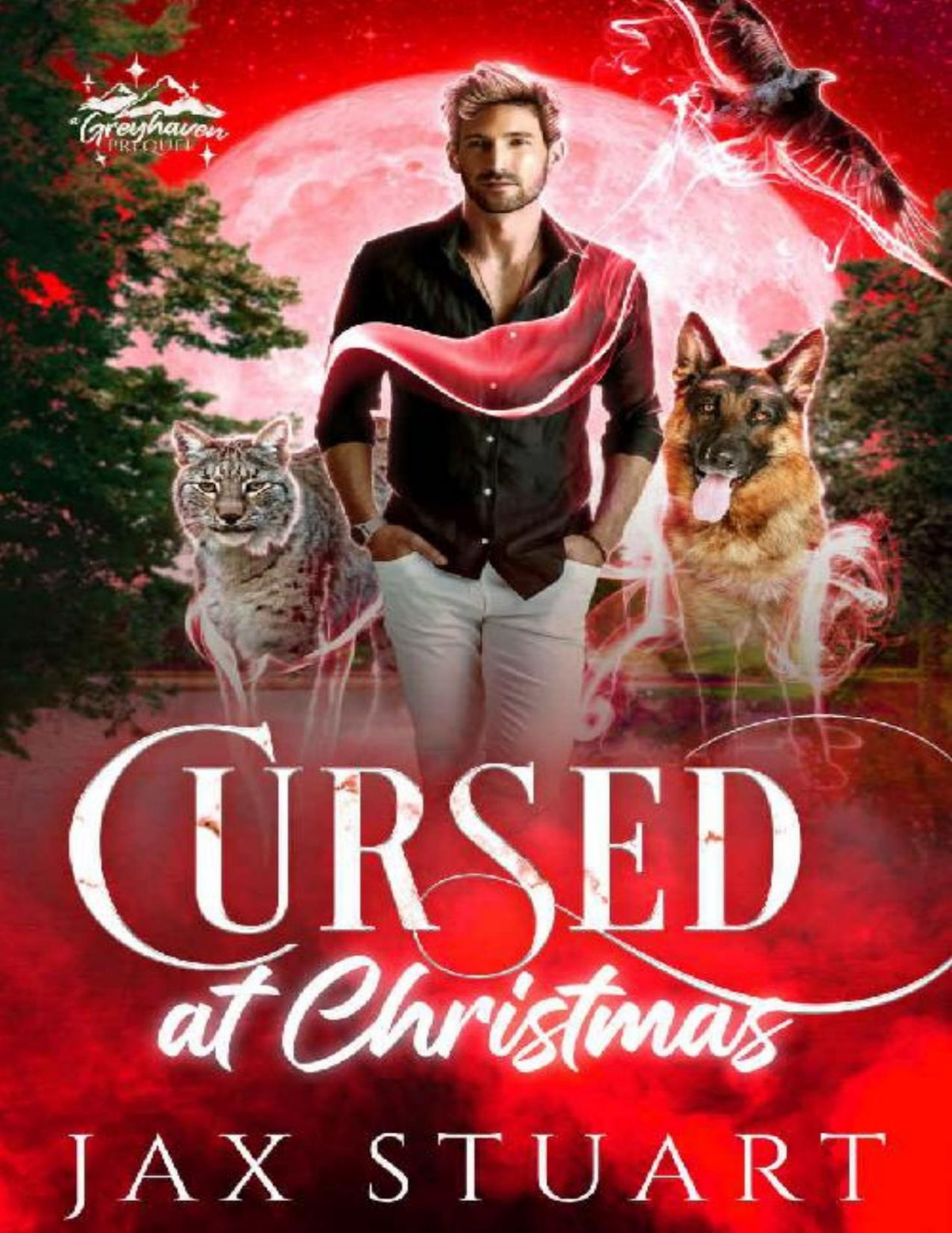 Cursed At Christmas Greyhaven Book 1 Jax Stuart
