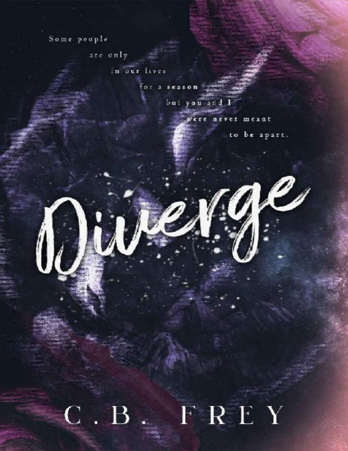 Diverge A Second Chance Romance Cb Frey