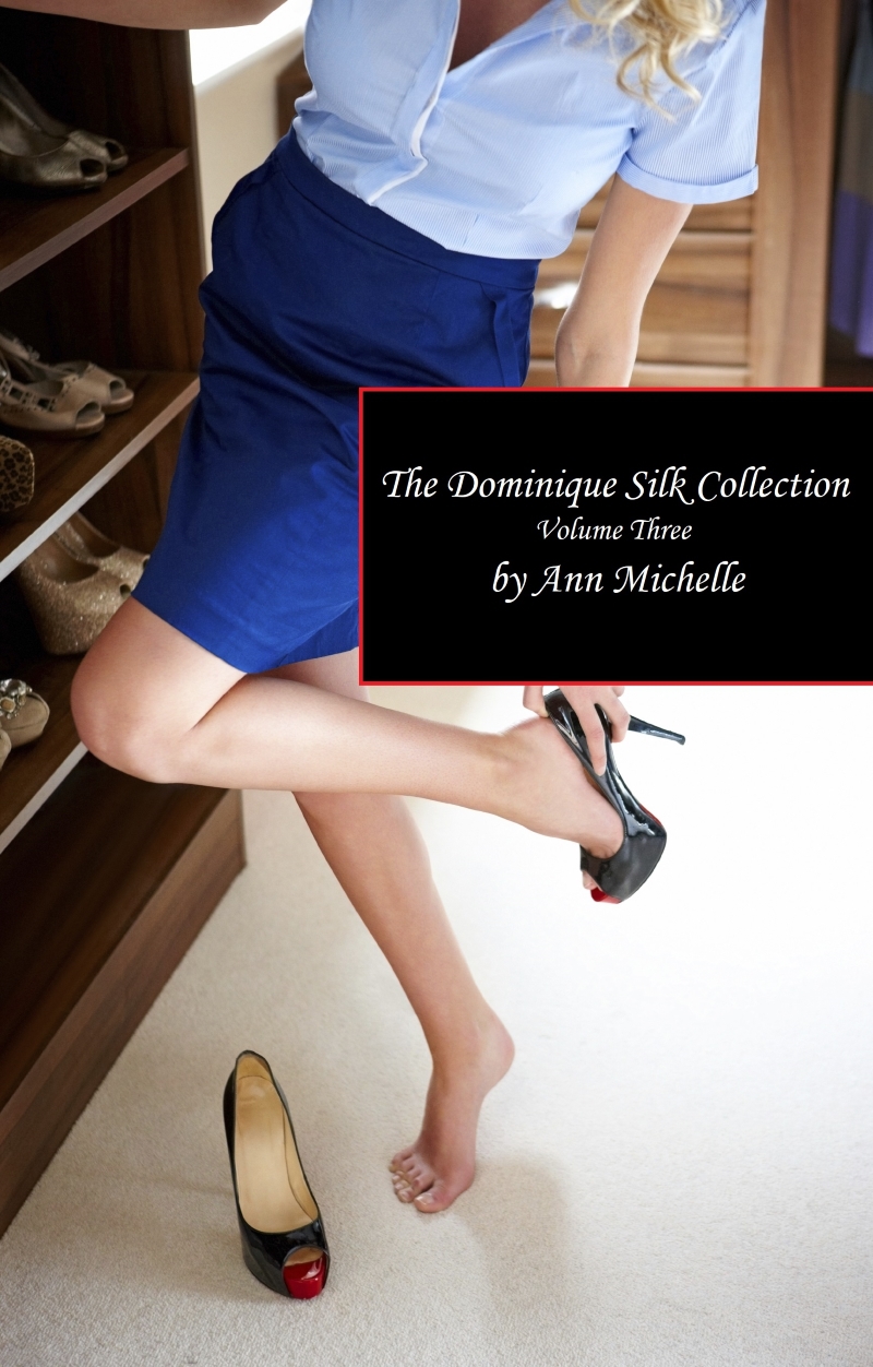 The Dominique Silk Collection Volume Three Ann Michelle