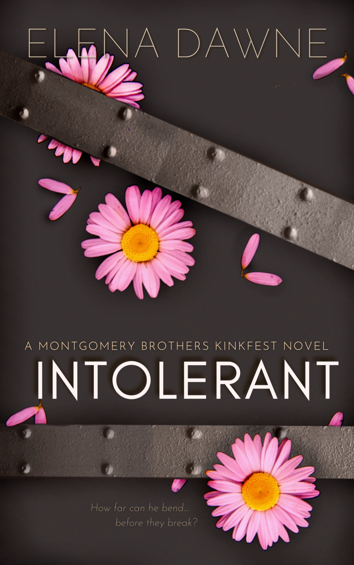 Intolerant Filthy Rich Kinky Book 2 1st Edition Elena Dawne