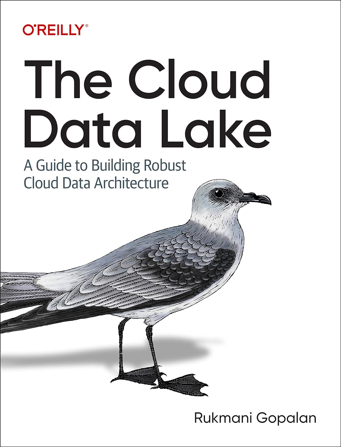 The Cloud Data Lake A Guide To Building Robust Cloud Data Architecture 1st Edition Rukmani Gopalan