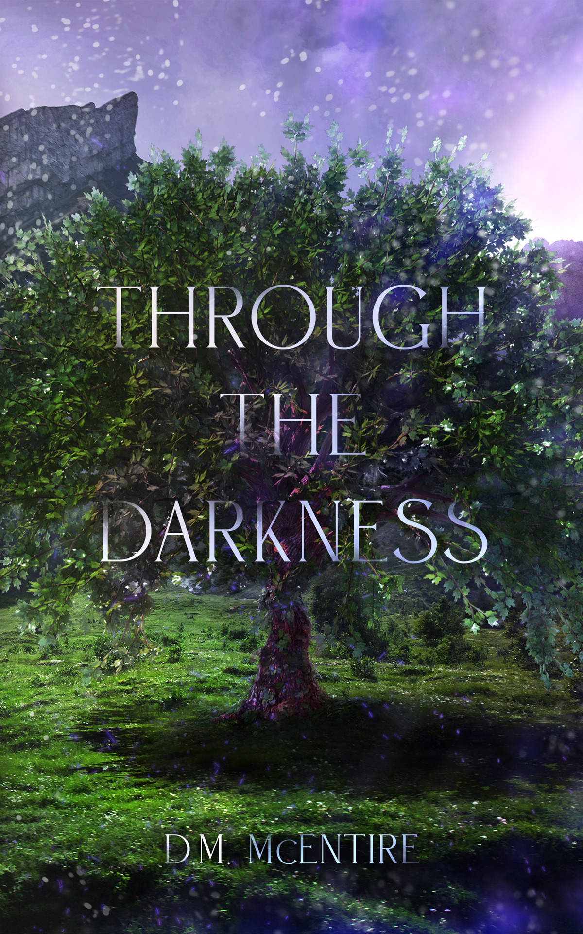 Through The Darkness Mcentire D M