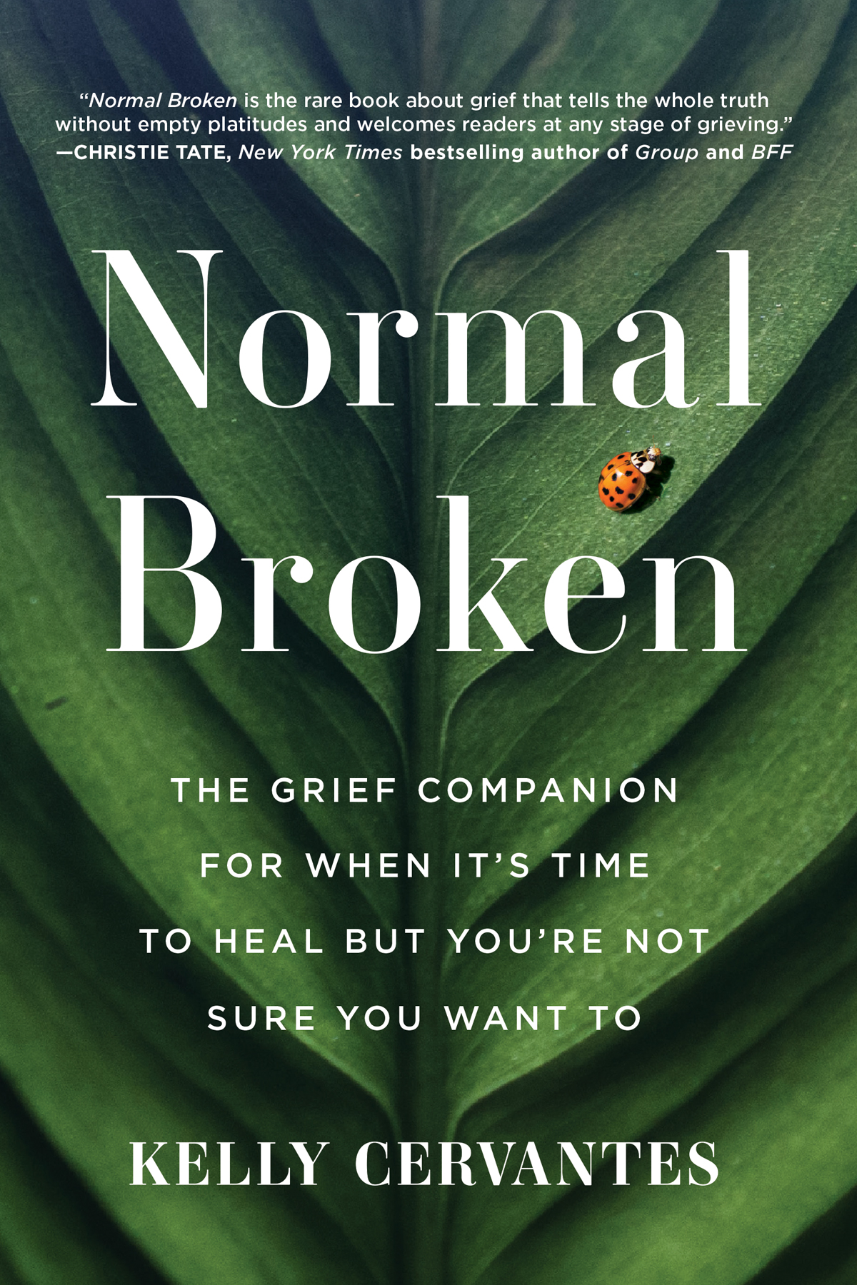 Normal Broken The Grief Companion For When Its Time To Heal But Youre Not Sure You Want To Kelly Cervantes