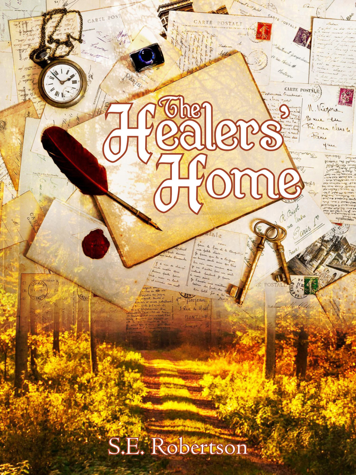 The Healers Home S E Robertson