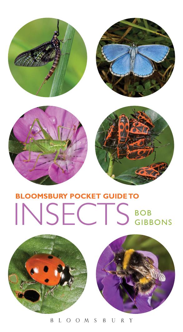 Pocket Guide To Insects Pocket Guides Gibbons Bob