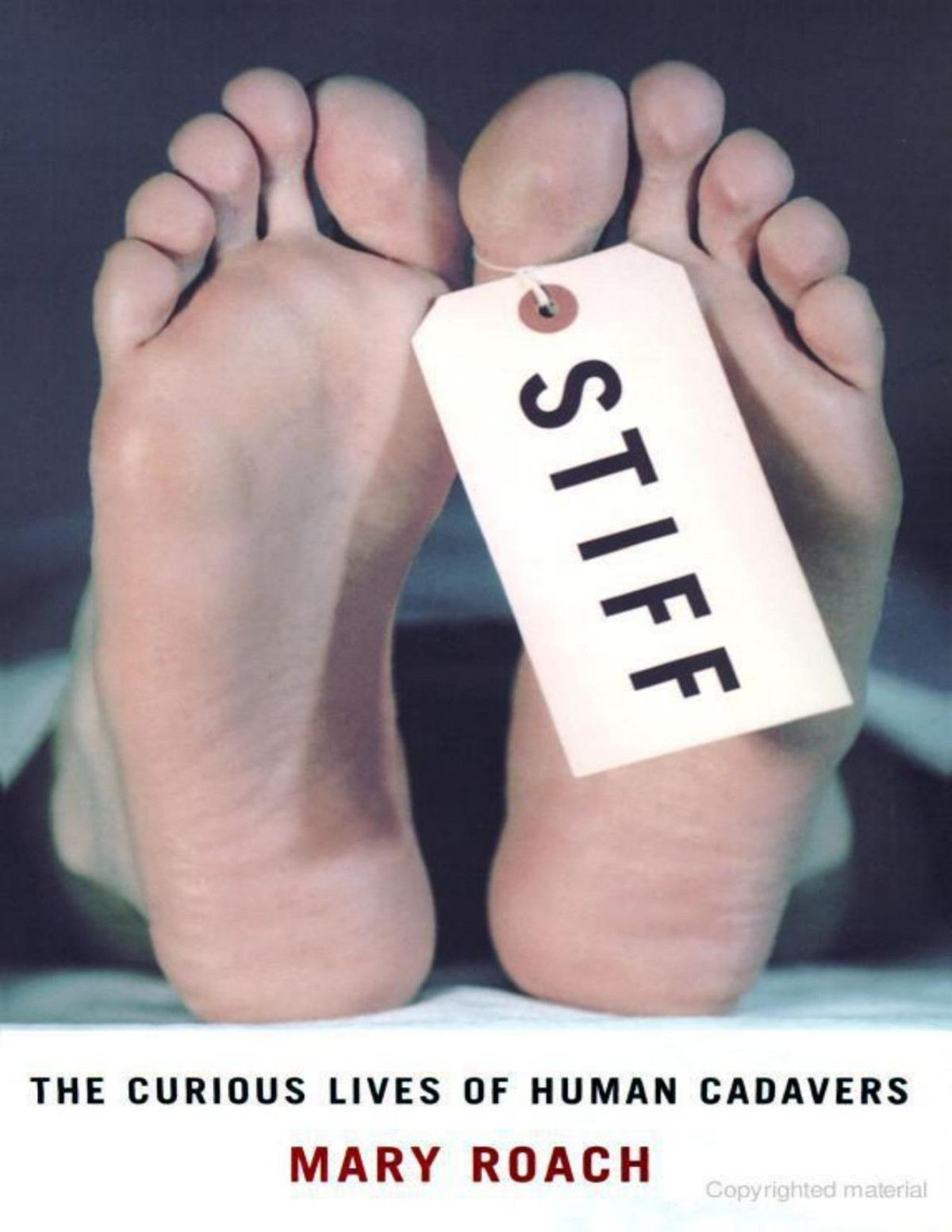 Stiff The Curious Lives Of Human Cadavers 1st Edition Mary Roach