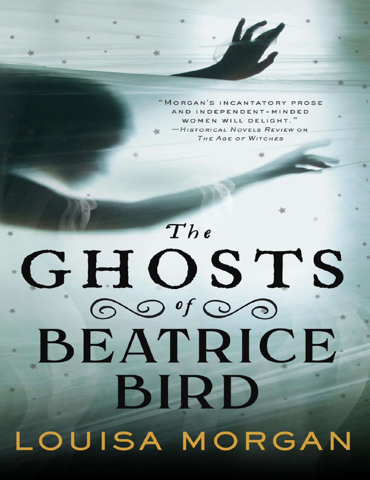 The Ghosts Of Beatrice Bird Louisa Morgan
