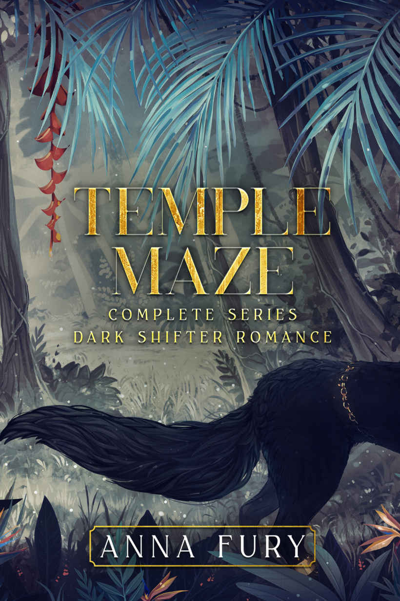 Temple Maze Complete Series 1st Edition Anna Fury