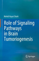 Role Of Signaling Pathways In Brain Tumorigenesis Mehdi Hayat Shahi