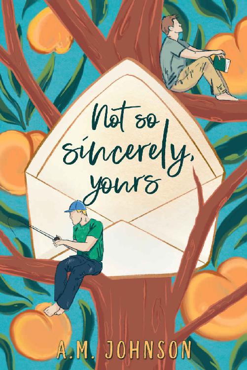 Not So Sincerely Yours Am Johnson
