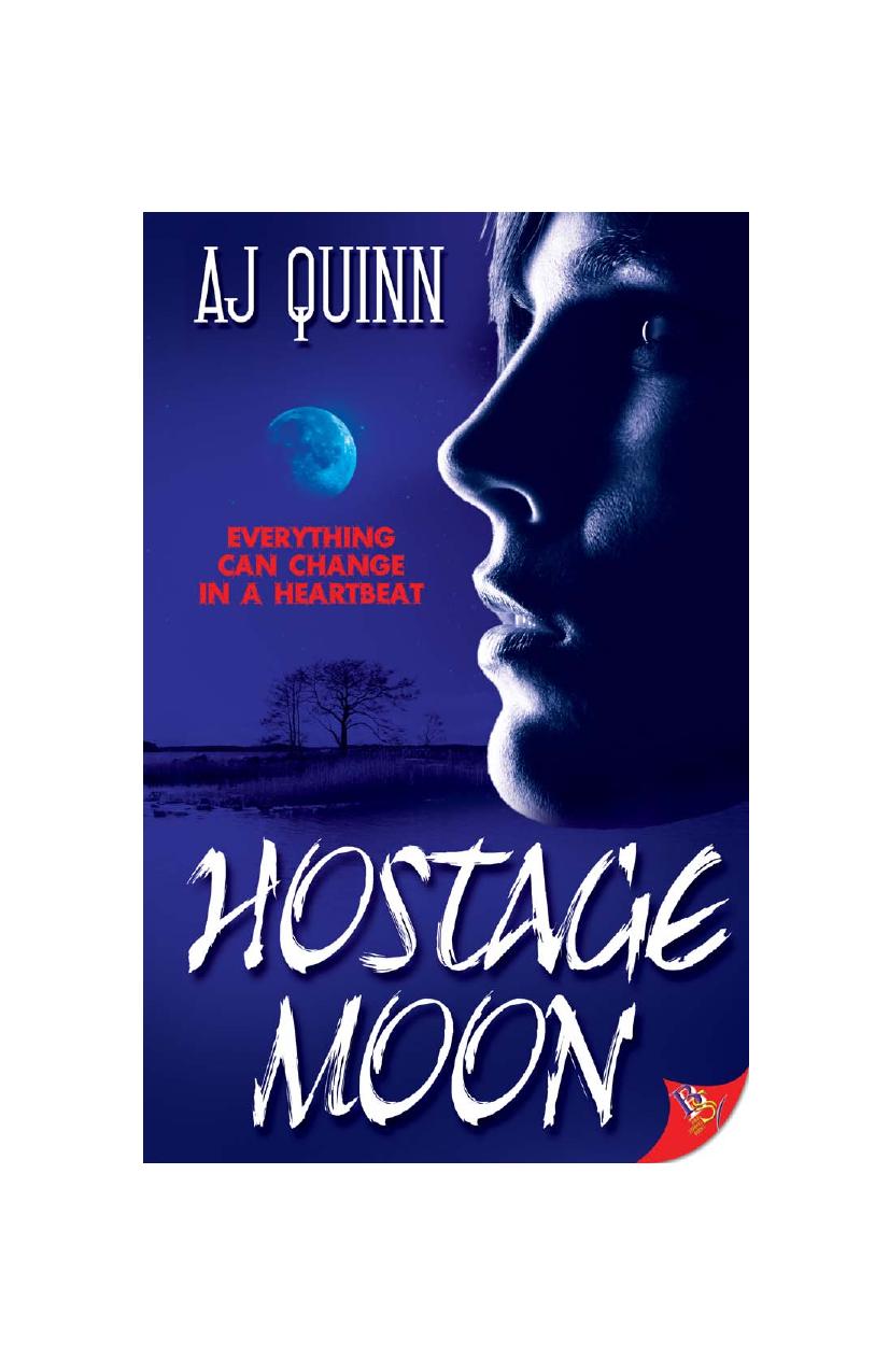 Hostage Moon Aj Quinn
