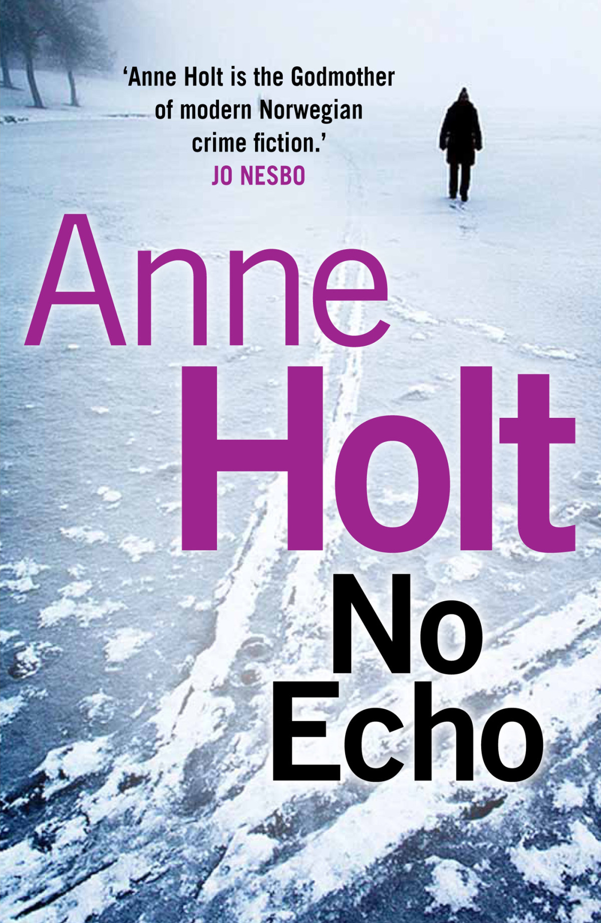 No Echo Hanne Wilhelmsen 06 Anne Holt