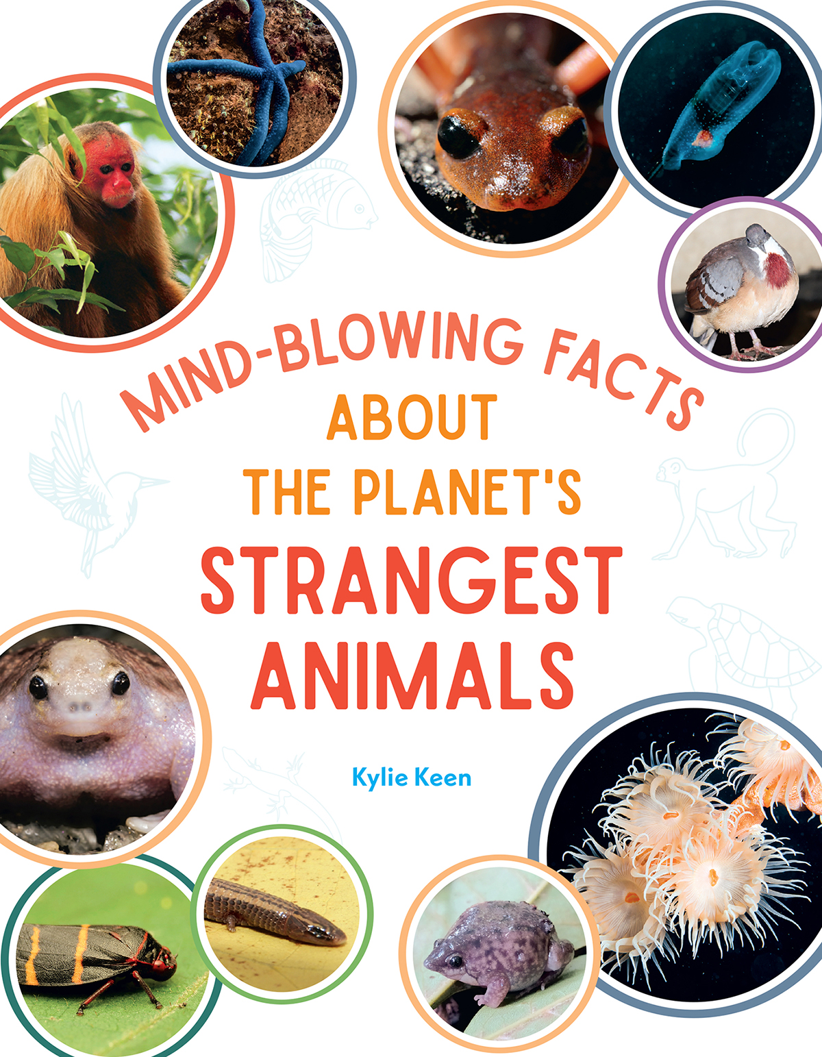 Mindblowing Facts About The Planets Strangest Animals Kylie Marin Keen