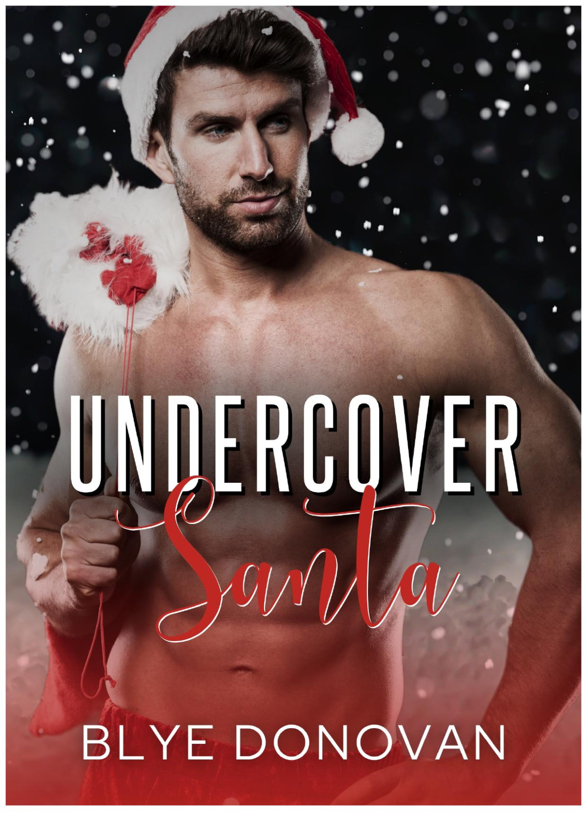 Undercover Santa A Steamy Holiday Romantic Suspense Blye Donovan