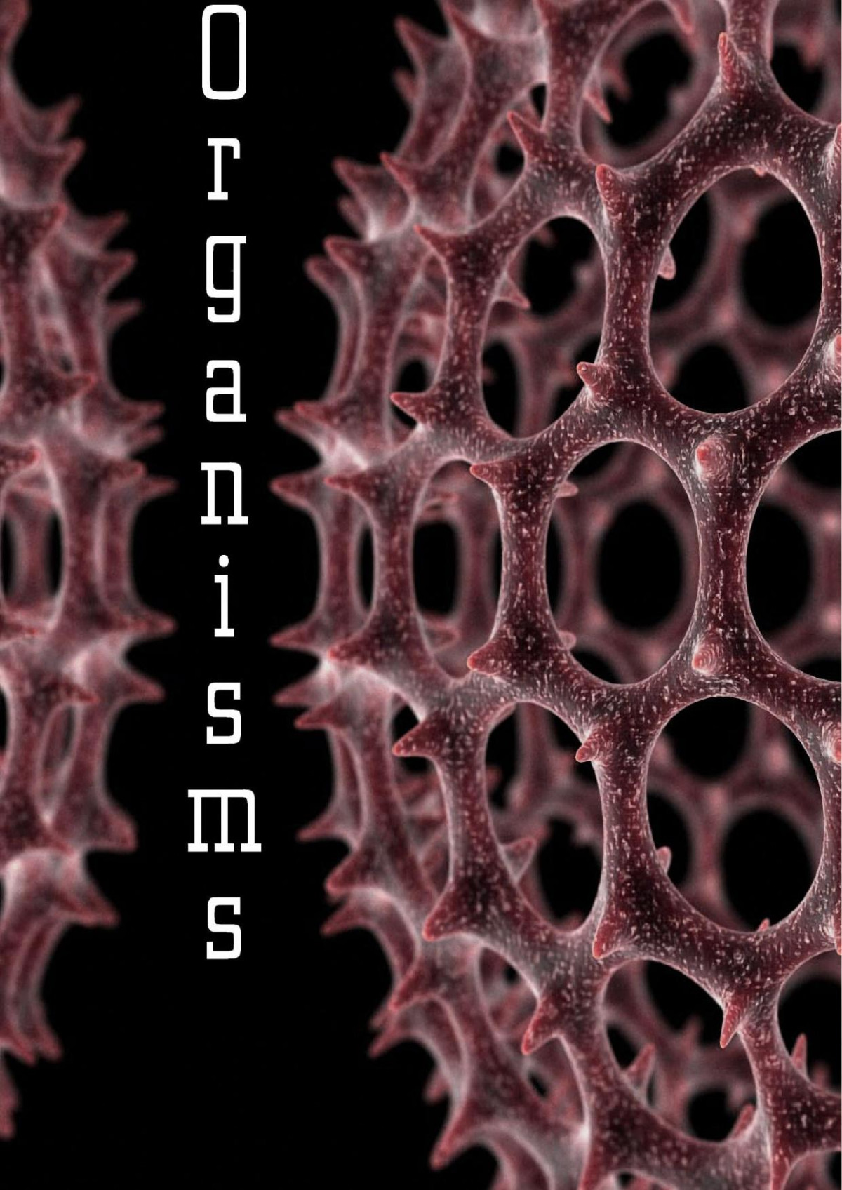 The New Cosmic Philosophy Organisms Mykola Krasnostup