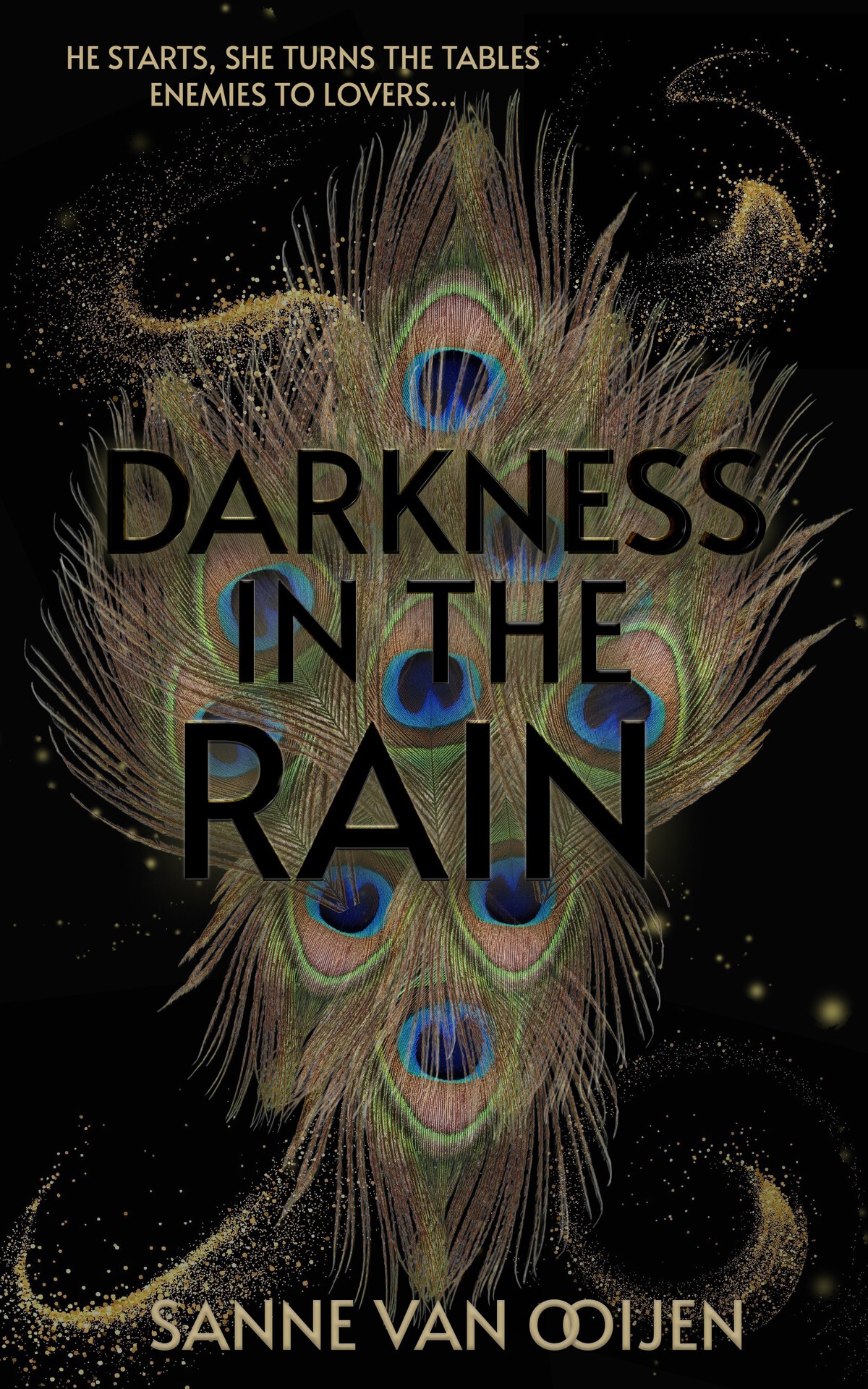 Darkness In The Rain Van Ooijen Sanne