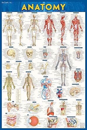 Anatomy Test Reference Guide Second Edition New Edition Updated Revised Perez