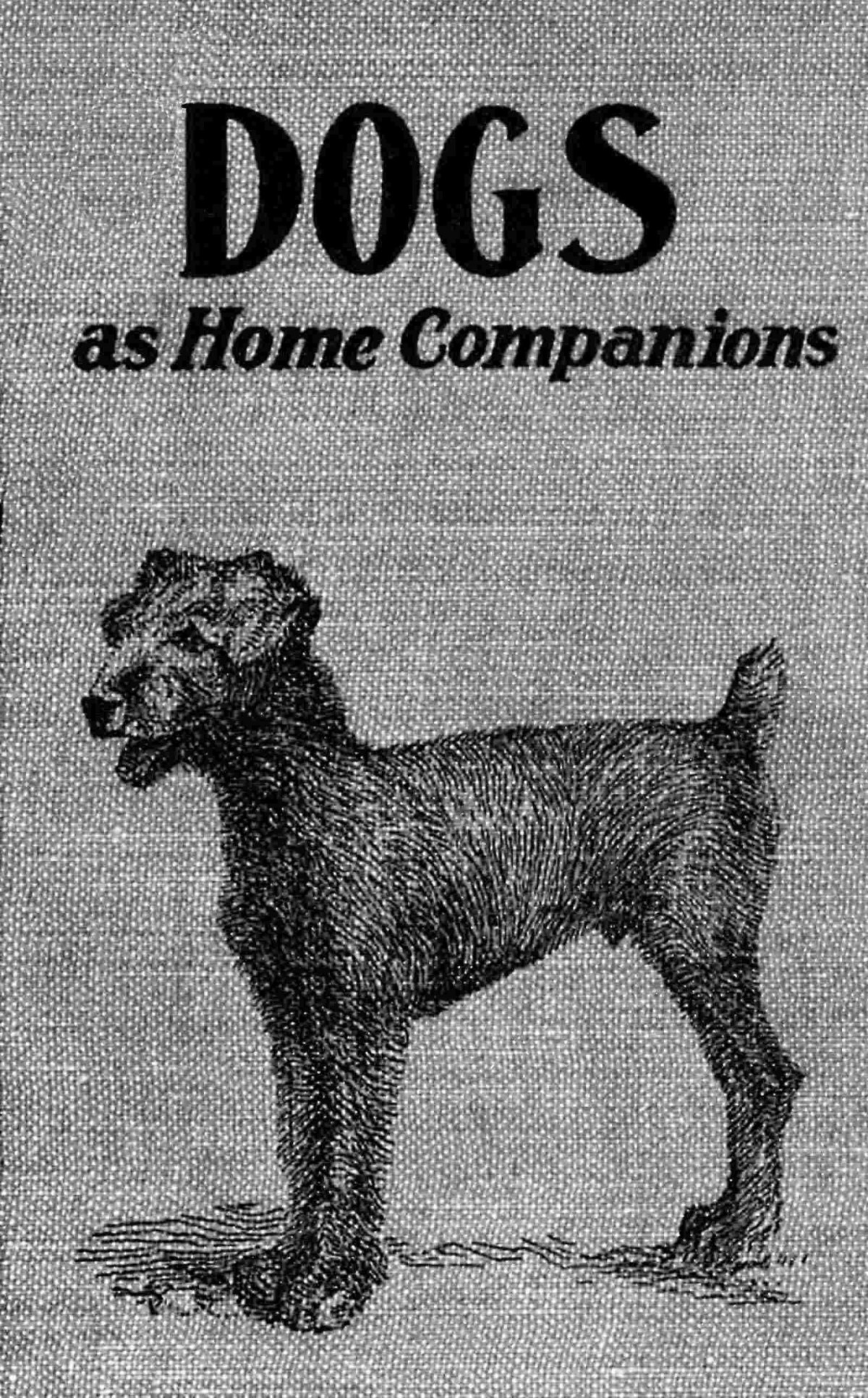 Dogs As Home Companions Albert Frederick Hochwalt