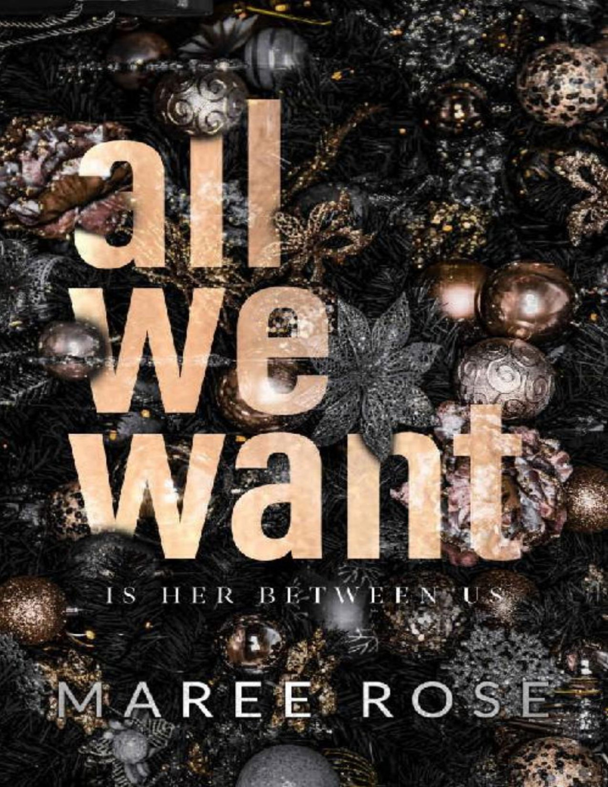All We Want A Christmas Reverse Harem Novella Maree Rose