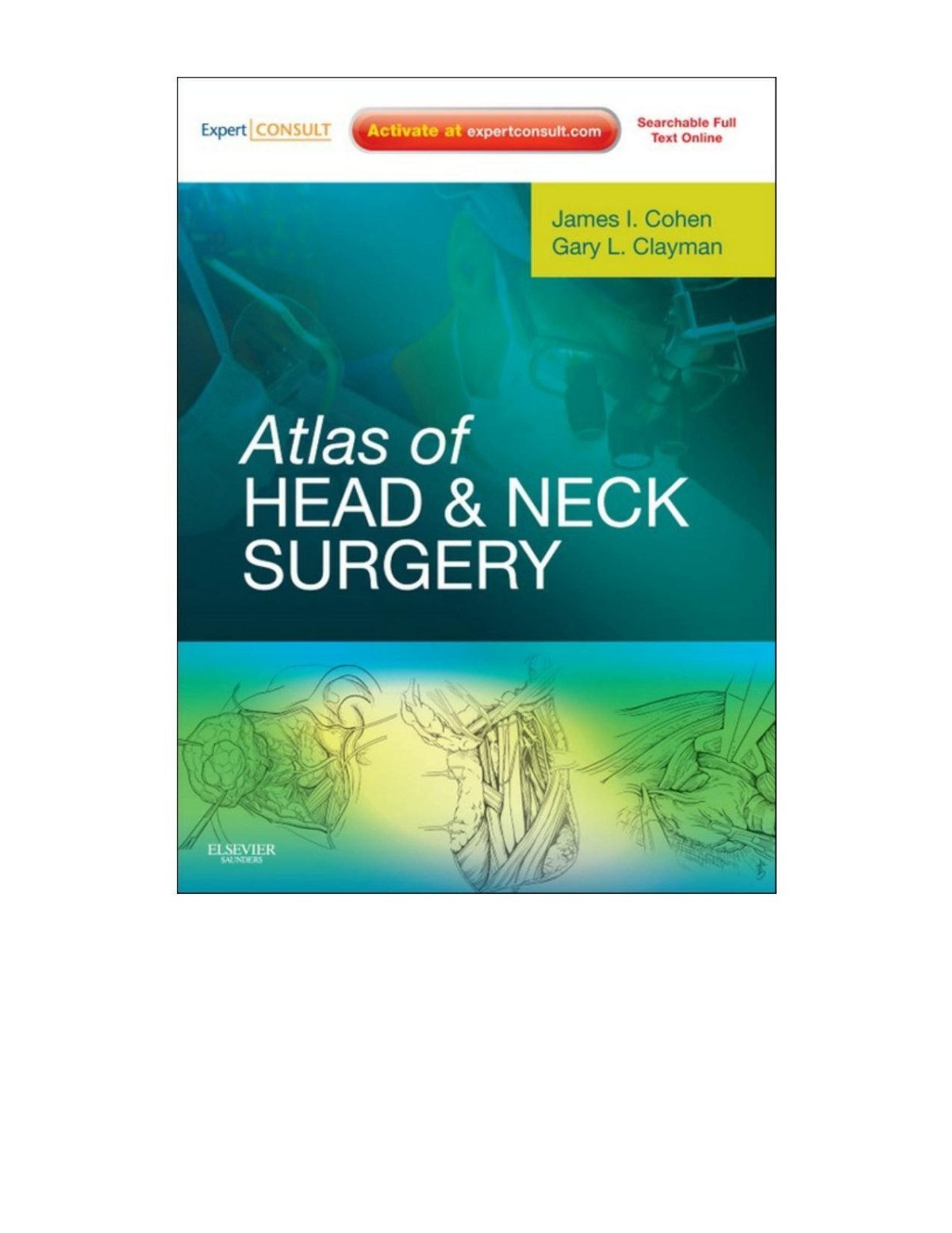Atlas Of Head And Neck Surgery Expert Consult Online And Print 1st Edition Cohen