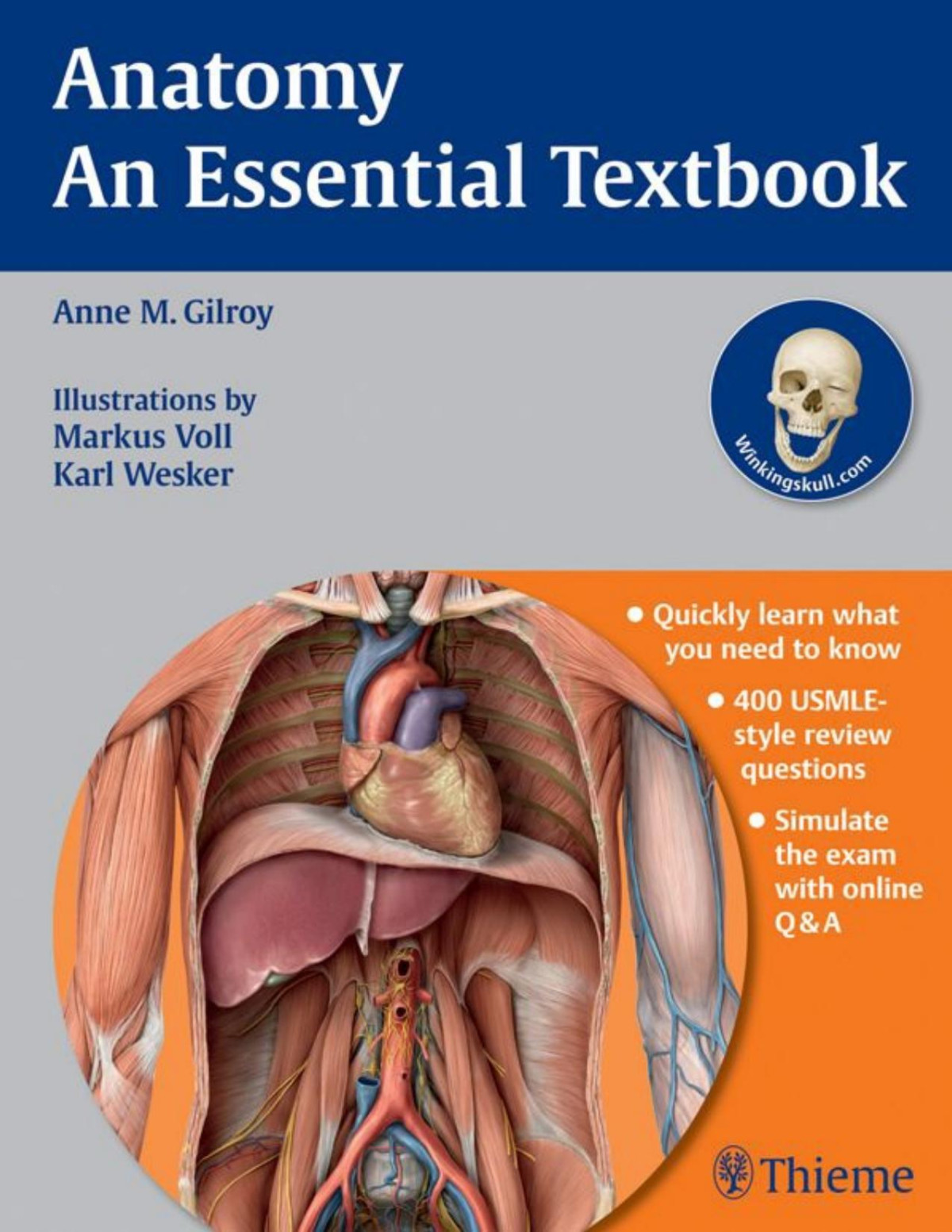 Anatomy An Essential Textbook Thieme Illustrated Review Series Gilroy