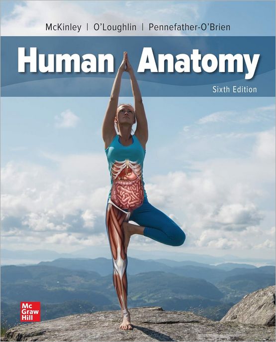 Human Anatomy 6th Edition 6th Michael Mckinley Valerie Oloughlin Elizabeth E Pennefatherobrien