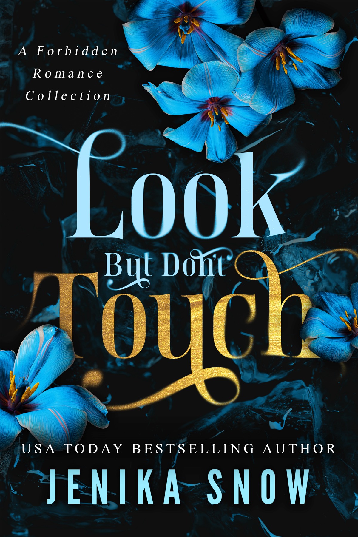 Look But Dont Touch A Forbidden Romance Collection Give Me Collection Jenika Snow