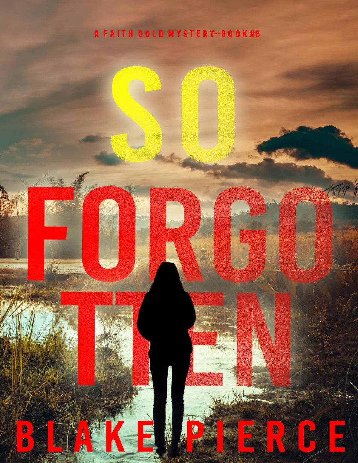 So Forgotten Book 8 A Faith Bold Mystery Blake Pierce