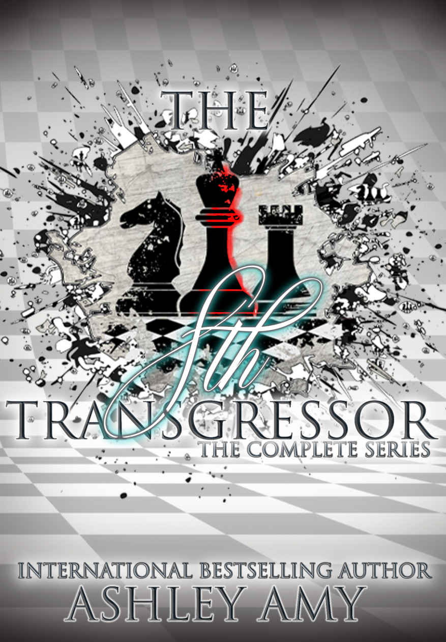 The Eighth Transgressor 1st Edition Ashley Amy