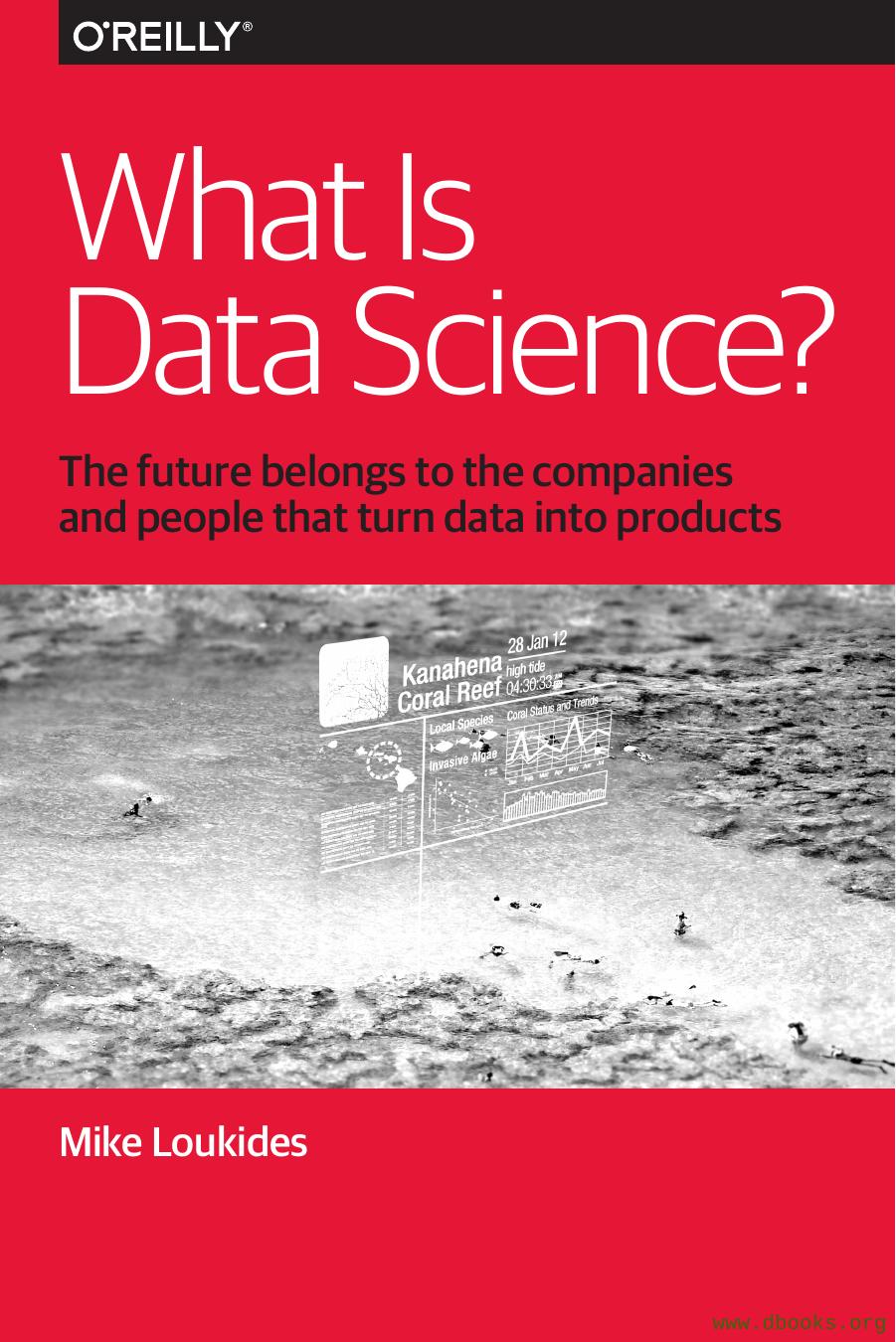 What Is Data Science Mike Loukides