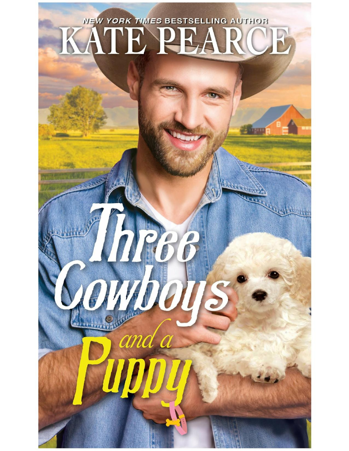 Three Cowboys And A Puppy Kate Pearce
