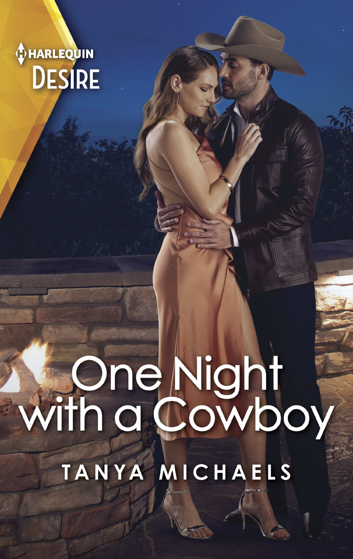 One Night With A Cowboy Tanya Michaels