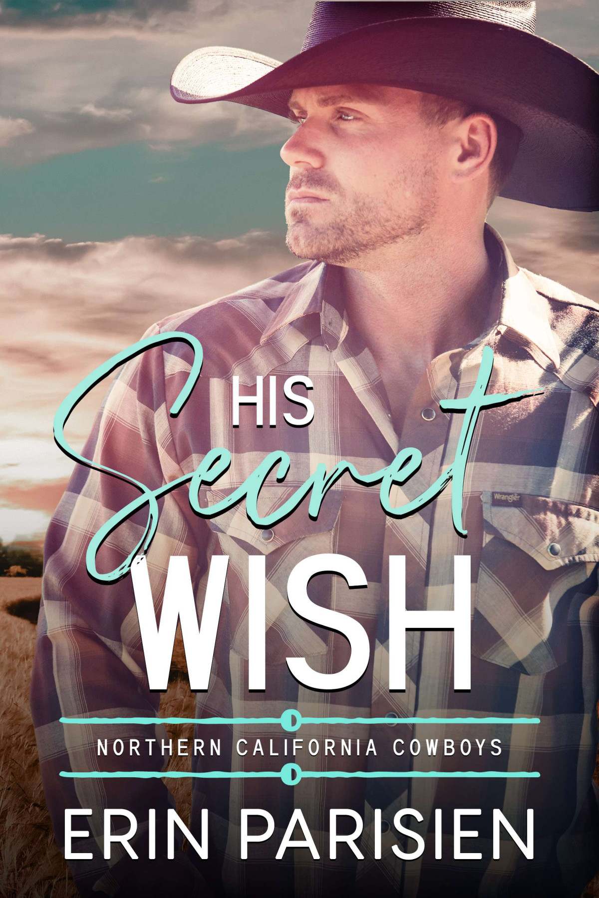 His Secret Wish Erin Parisien