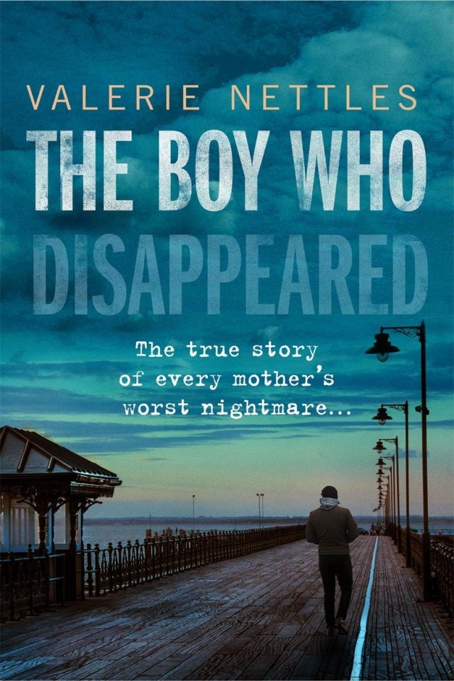 The Boy Who Disappeared Valerie Nettles