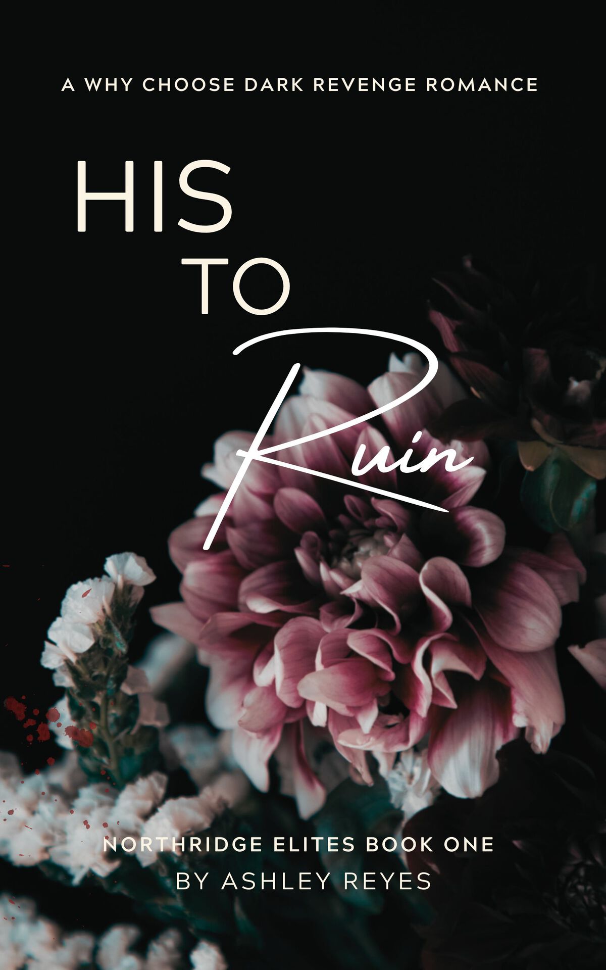 His To Ruin A Dark Revenge Romance Northridge Elites Duet 1 Reyes