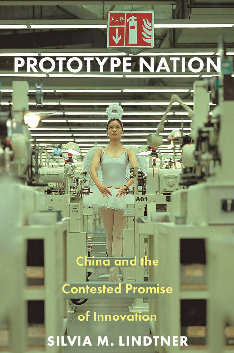 Prototype Nation China And The Contested Promise Of Innovation Silvia Mlindtner