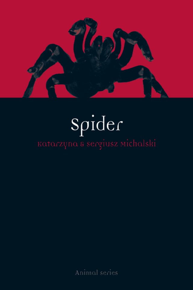 Spider Katarzyna Michalski Sergiusz Michalski
